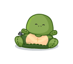 Turtle Bean Bag