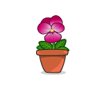 Potted Pink Pansy