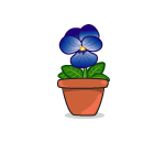 Potted Blue Pansy