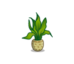 Leafy Potted Plant