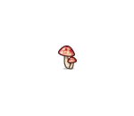 Red Cap Mushrooms