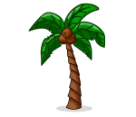 Beachy Palm Tree