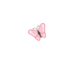 Pink Flutterfly