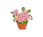 Potted Summer Plant