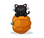 Pumpkin Lovin Kitty