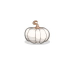 White Pumpkin