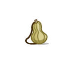 Gourdy Gourd Canteen