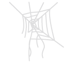 Broken Spider Web