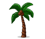 Swaying Palm Tree