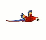 Extravagant Macaw Bird