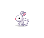 Fluffy Bunny