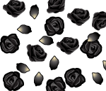 Black Rose Shower