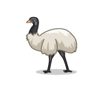 White Feathred Emu