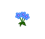 Little Blue Daisies