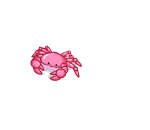Scuttling Pink Crab