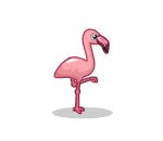 Sweet Pink Flamingo