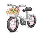 Summer Flower Bicycle