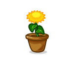 Happy Potted Sunflower