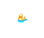 Cute Baby Duck