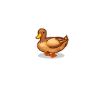Happy Garden Duck