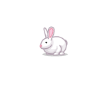 Fluffy White Rabbit