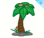 Cheeky Palm Tree
