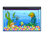 Classrooms Fish Tank