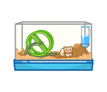 Hamster Cage