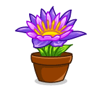 Thumbelinas Purple Flower
