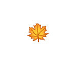 Fallen Maple Orange Leaf