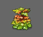 Dew Laden Oak Leaf Hydrangea