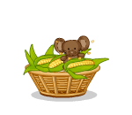 Basket of Harvest Corn