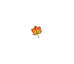 Autumn Reddish Maple Leaf