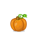 Autumn the Kitty in a Pumpkin
