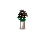 Potted Black Lilliput Moon