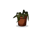 Rejected Potted Plant