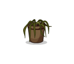 Disowned Potted Plant