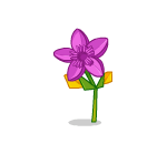Murasaki Origami Lily
