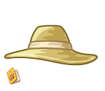 Travelers Handy Hat