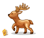Daring Deer