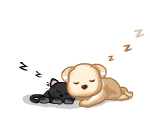 Snoozing Kitty and Dog