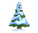 Tall Snowy Pine Tree