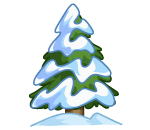 Wide Snowy Pine Tree