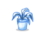 Potted Iced Flower