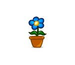 Blue Potted Daisy