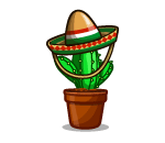 Poncho the Potted Cactus